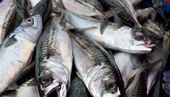 Biem na cholesterol je pravidelná konzumace ryb.